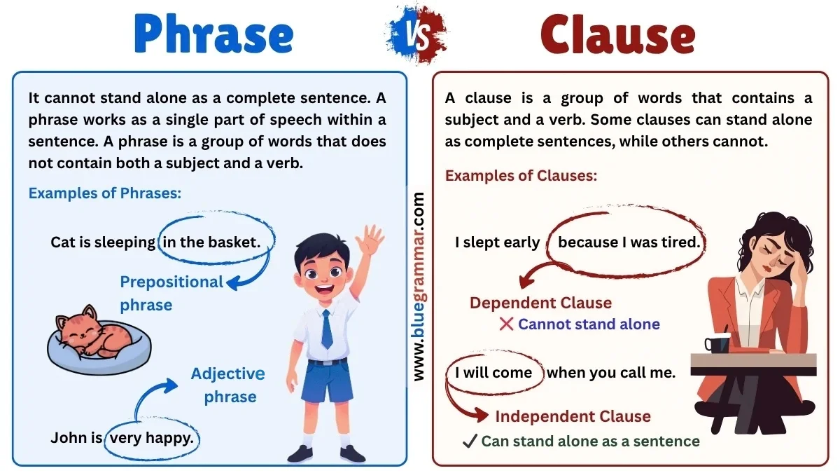 Phrase vs Clause (Detailed Differences With Explanations)