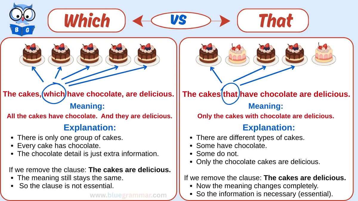 Which vs That in English Grammar | Rules, Differences & Examples