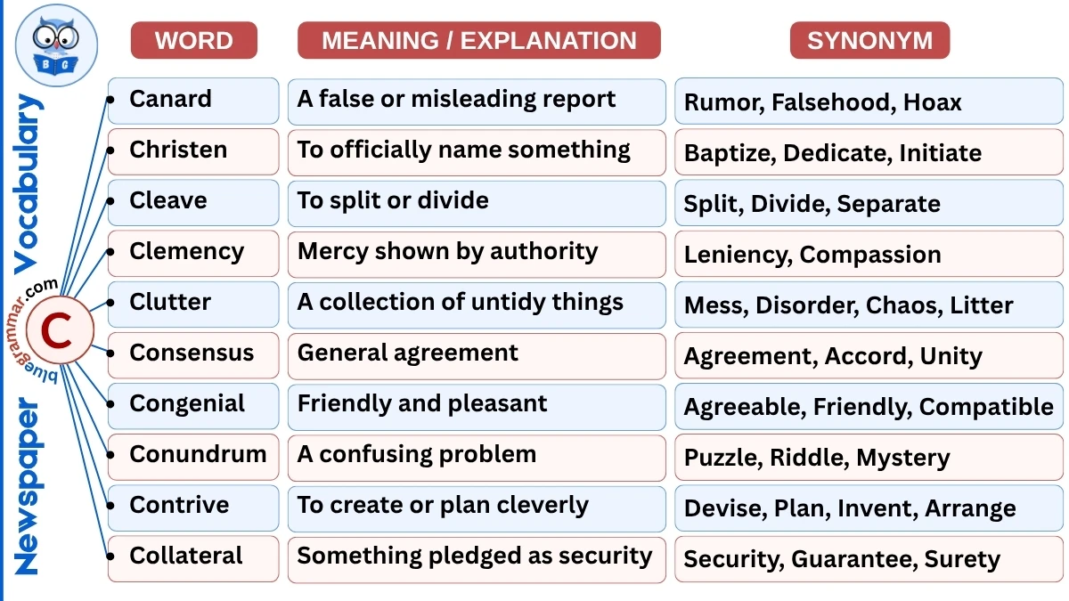 Newspaper Vocabulary Words Starting with C (With Meanings & Examples)
