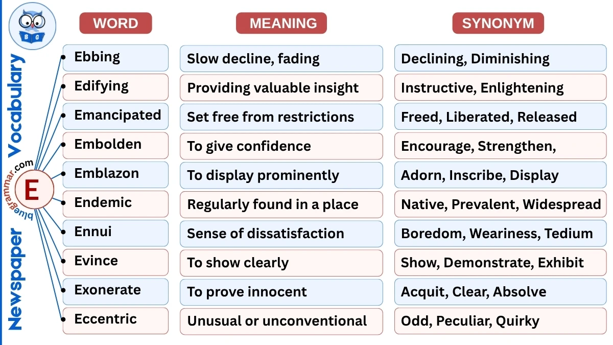 Newspaper Vocabulary Words Starting with E (With Meanings & Examples)