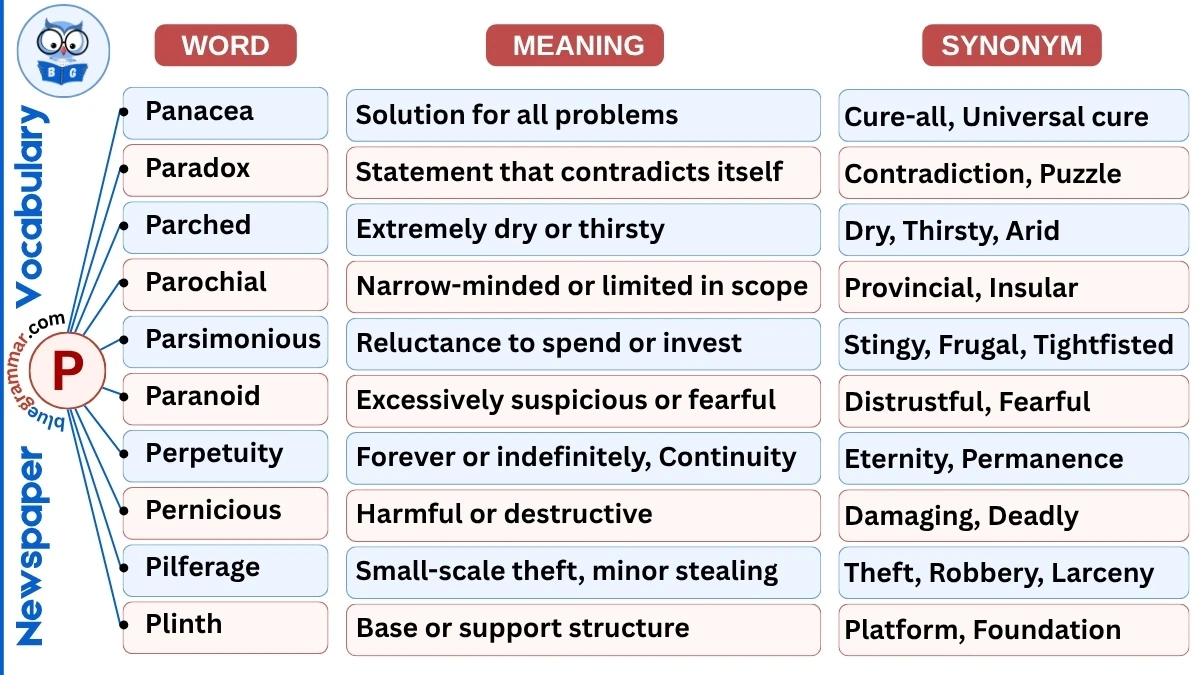 Newspaper Vocabulary Words Starting with P (With Meanings & Examples)