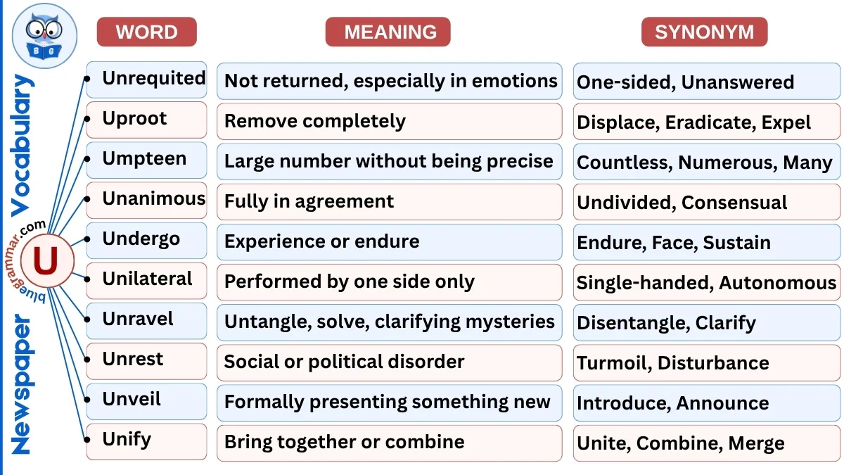 Newspaper Vocabulary Words Starting with U (With Meanings & Examples)