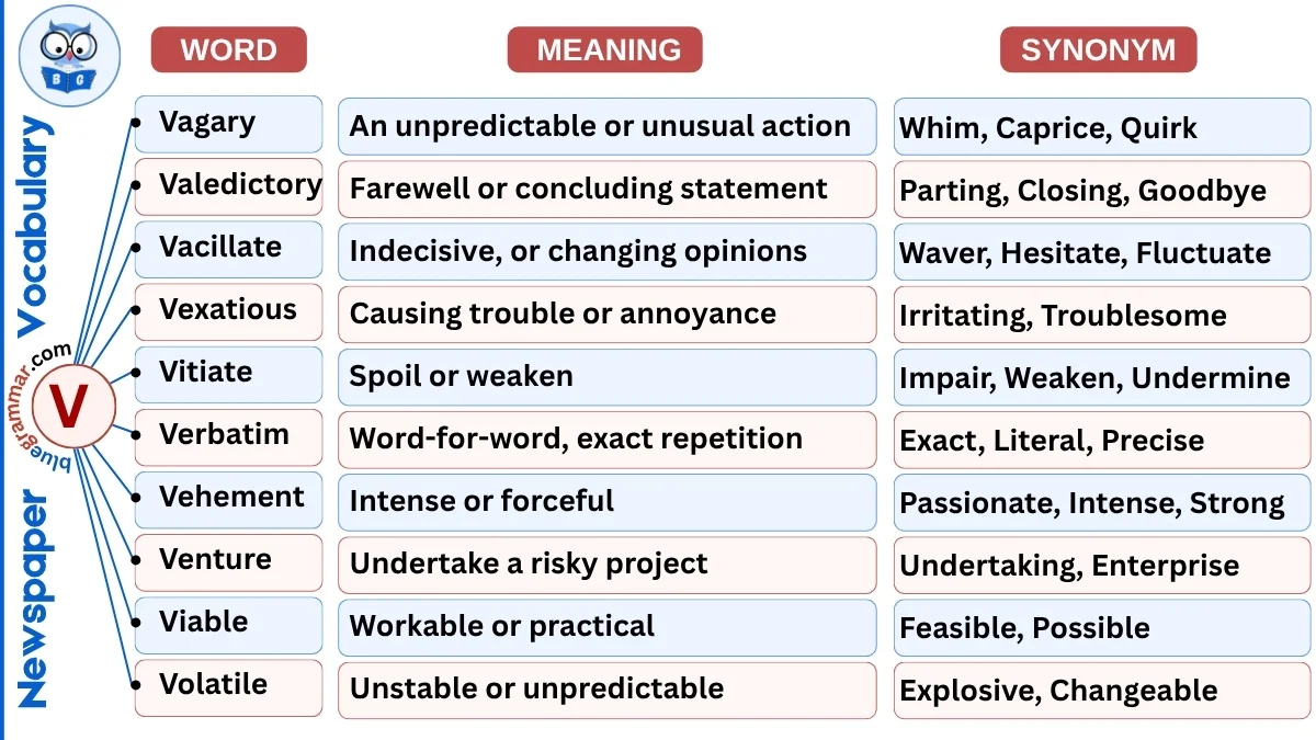 Newspaper Vocabulary Words Starting with V (With Meanings & Examples)