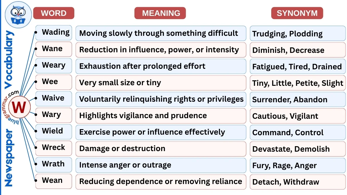 Newspaper Vocabulary Words Starting with W (With Meanings & Examples)