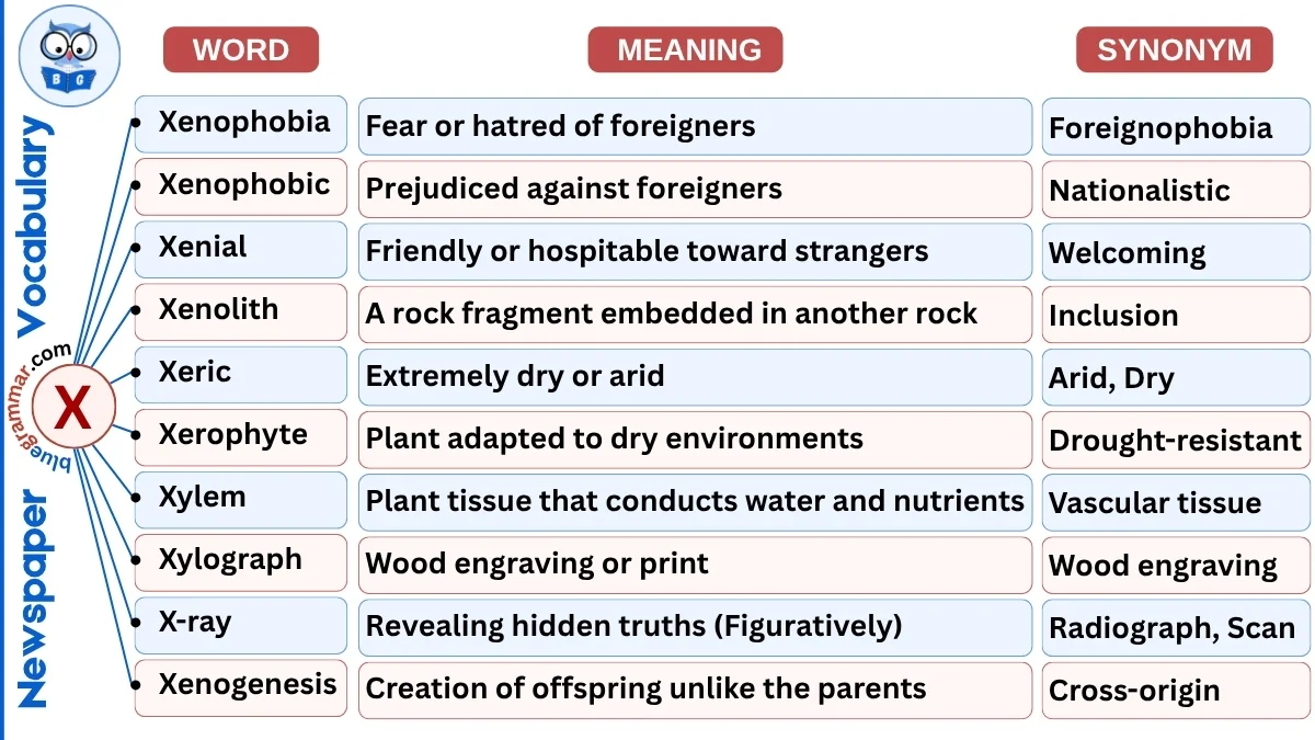 Newspaper Vocabulary Words Starting with X (With Meanings & Examples)