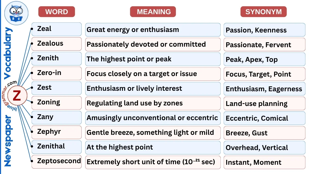 Newspaper Vocabulary Words Starting with Z (With Meanings & Examples)