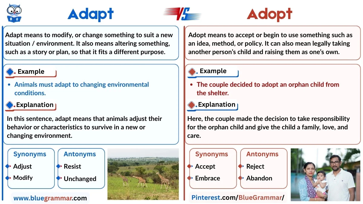 Adapt vs Adopt
