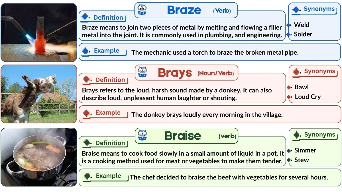 Braze vs Brays vs Braise