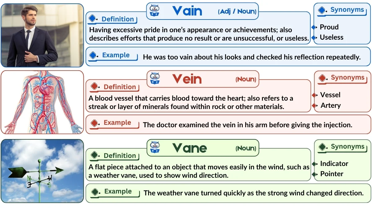 Vain vs Vane vs Vein