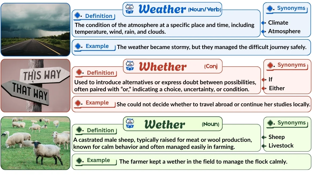 Weather vs Whether vs Wether