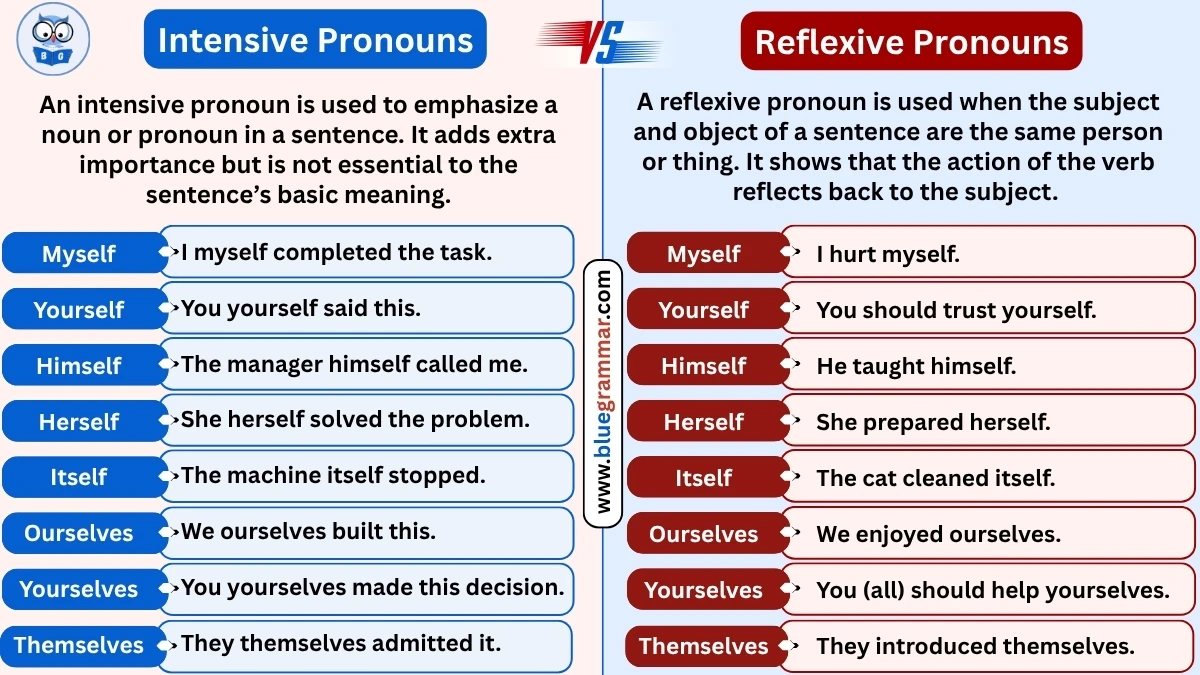 Intensive Pronoun vs Reflexive Pronoun (With Clear Examples)