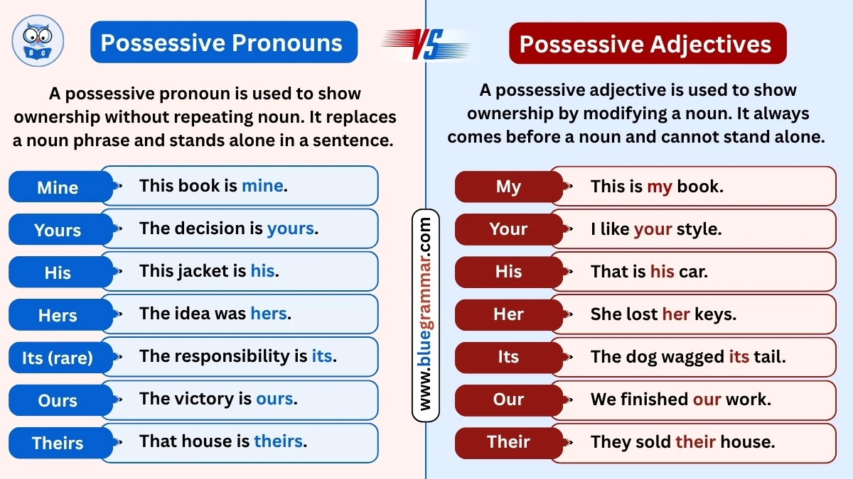 Possessive Pronouns vs Possessive Adjectives (With Examples)
