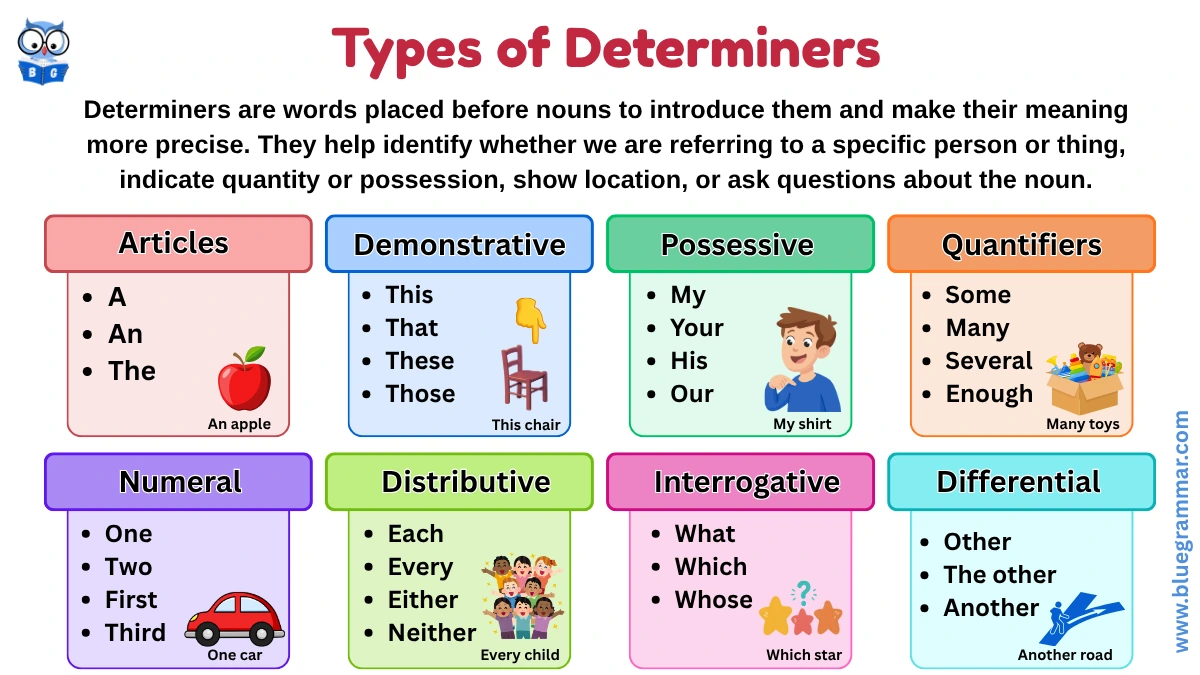 Types of Determiners in English Grammar