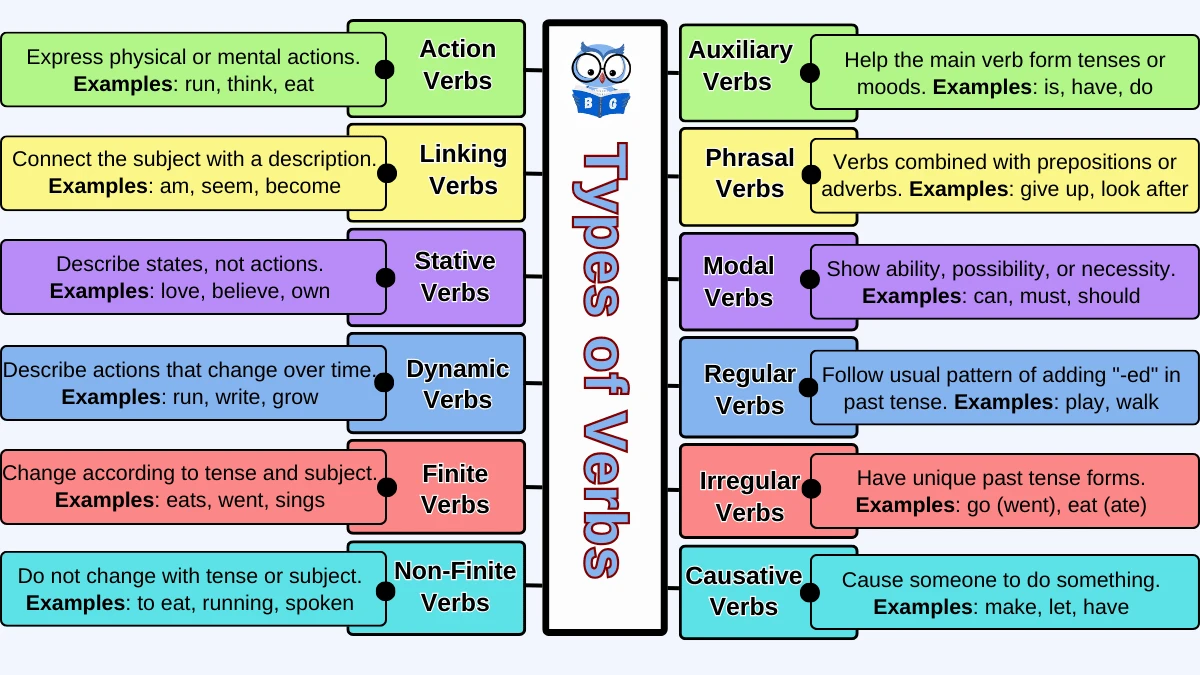Types of Verbs in English Grammar