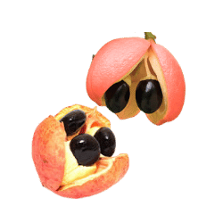 Ackee