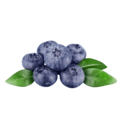 Blueberry