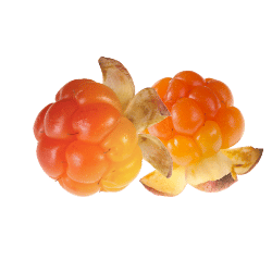 Cloudberry