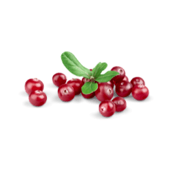 Cranberry