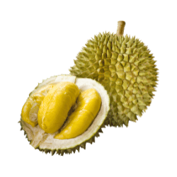 Durian