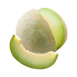 Honeydew Melon