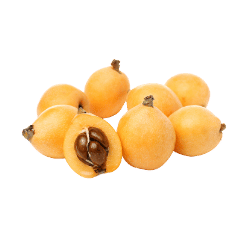 Loquat