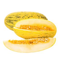 Persian Melon