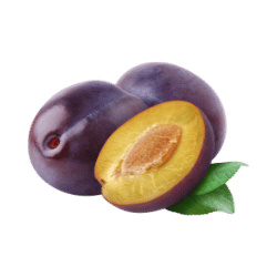 Plum
