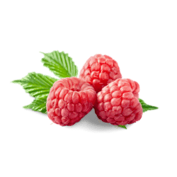 Raspberry