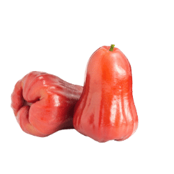 Rose Apple