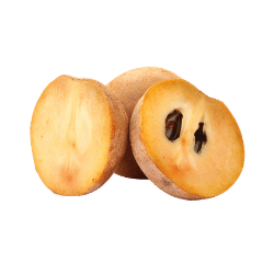 Sapodilla