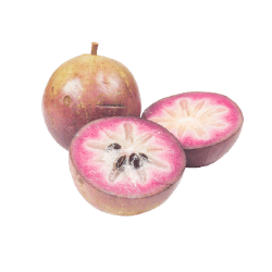 Star Apple