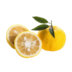 Yuzu