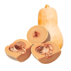 Butternut Squash