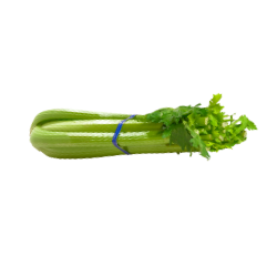 Celery