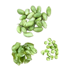 Green Chickpeas