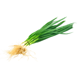 Green Onion