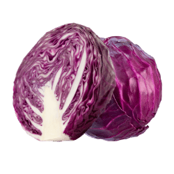 Purple Cabbage